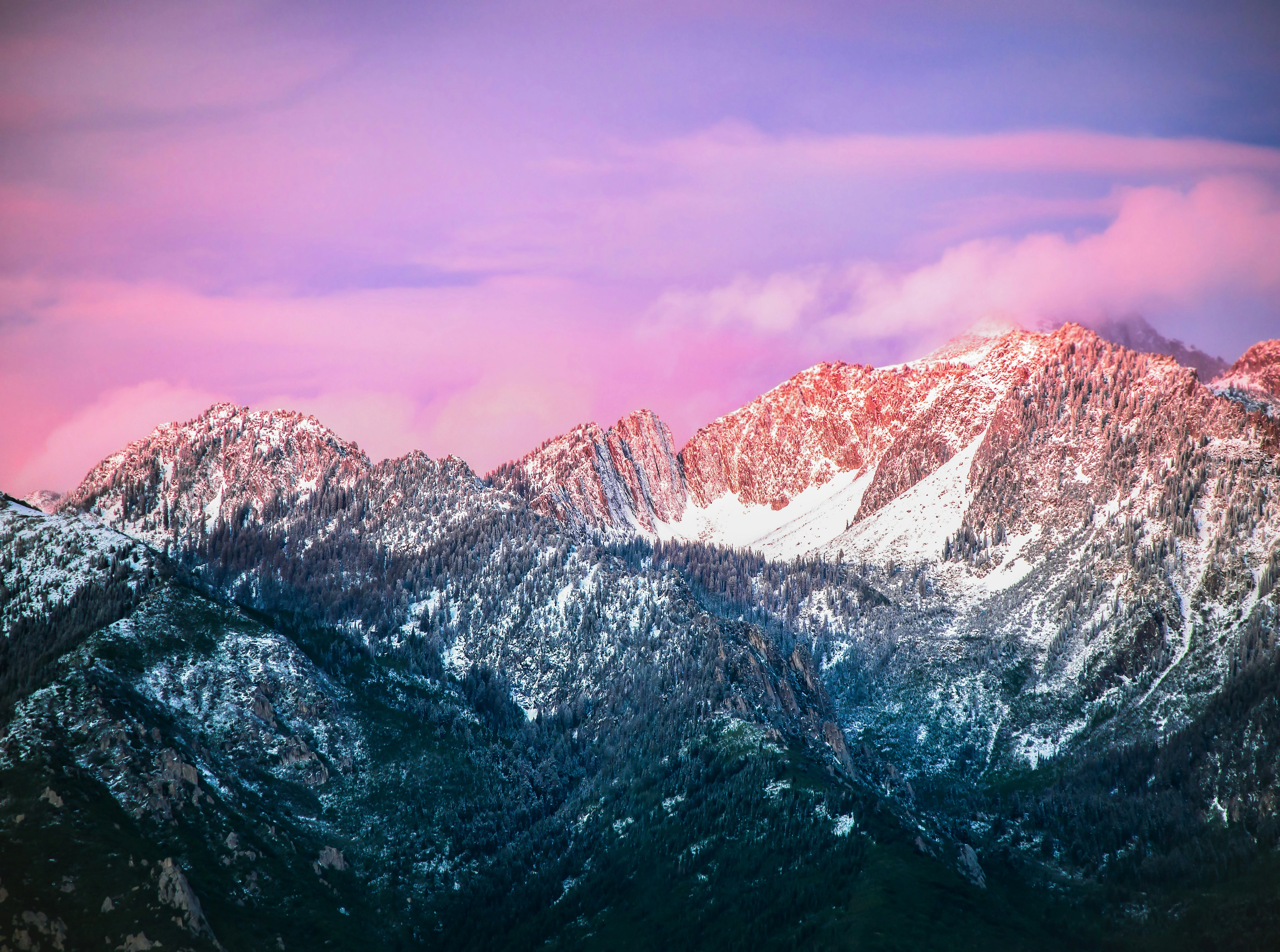 I'm Mike DeSocio.-image